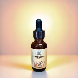 Cordyceps Militaris Tincture