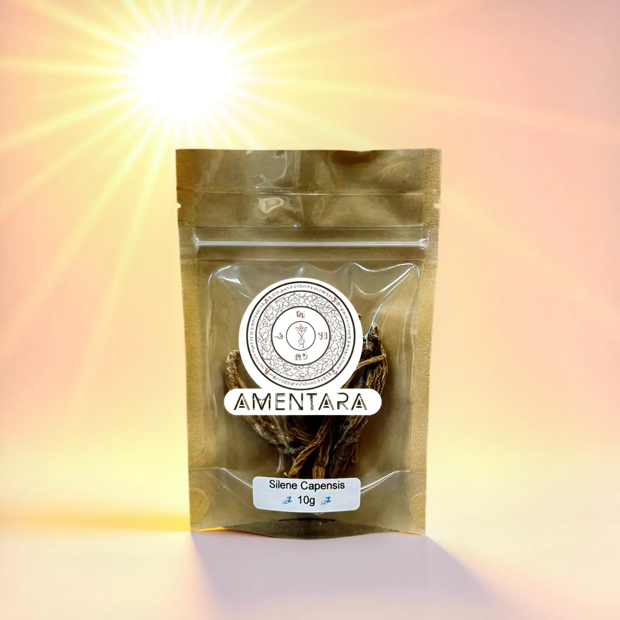 Silene Capensis (Silene Undulata/African Dream Root)