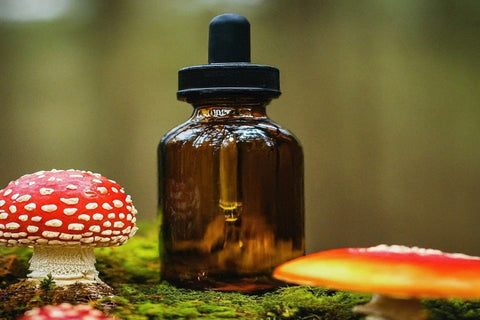 Amanita Muscaria Mushroom tincture