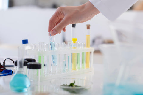 Potential scientific explanations about blue lotus