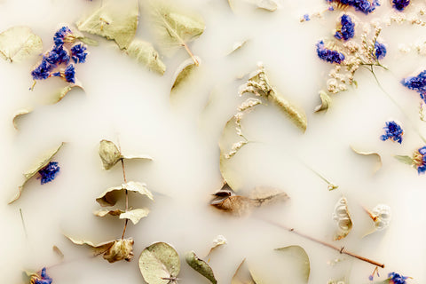 medicinal-power-of-blue-lotus