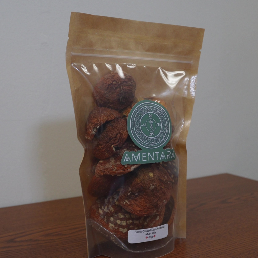 Amanita Muscaria (Fly Agaric) Caps - Image 4