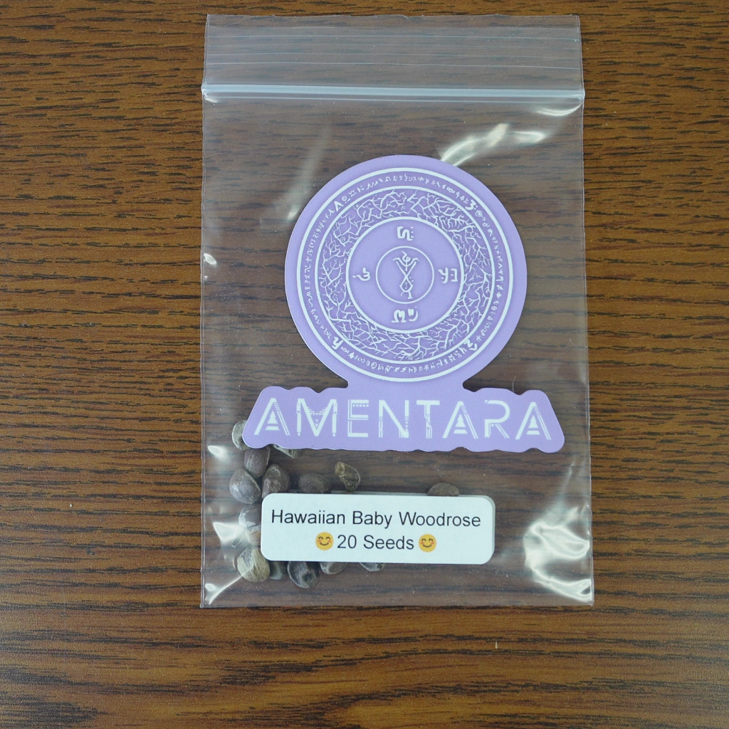 Hawaiian Baby Woodrose Seeds - Image 2