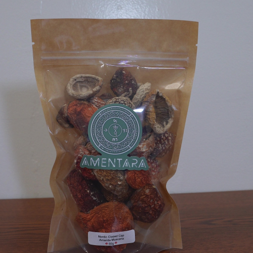 Amanita Muscaria (Fly Agaric) Caps - Image 2