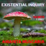 The Amanita Effect
