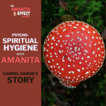 The Amanita Effect