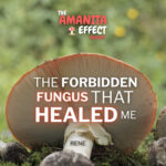 The Amanita Effect