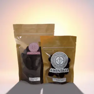 The Explorer Bundle