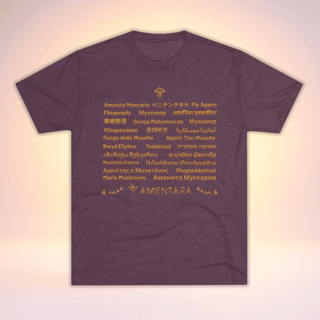 Amanita Around the World Tee - Image 3