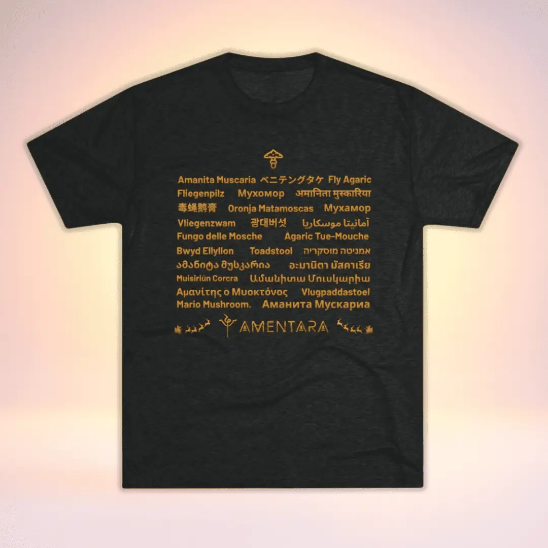 Amanita Around the World Tee - Image 4