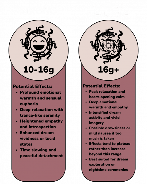 Copy of Copy of Microdose (1080 x 1350 px) (2) (1)
