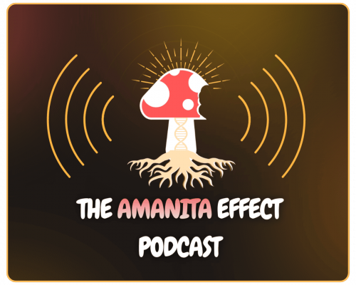 Copy of Copy of Untitled Design(1)(1)