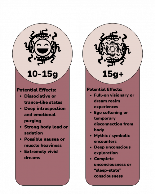 Copy of Microdose (1080 x 1350 px) (4) (2)