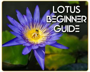 Copy of Untitled Design (55) (1)