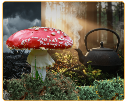 Untitled design - 2025-12-01T095446.402 (1)