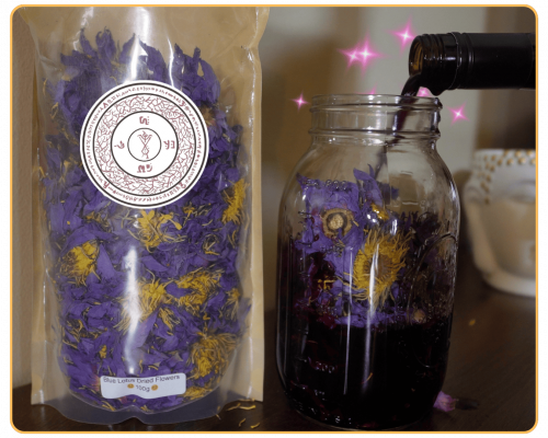 Untitled design - 2025-12-01T100555.262