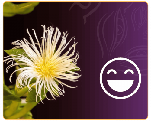 Untitled design - 2025-12-01T101327.651 (1)