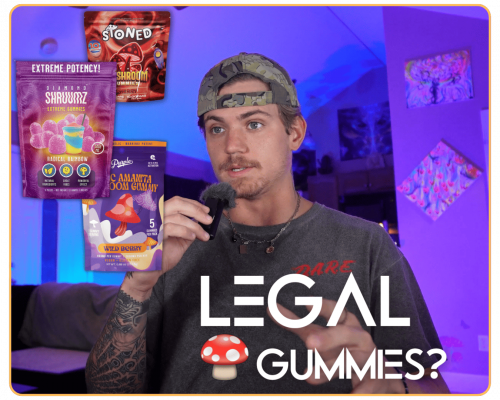 Untitled design - 2025-12-01T122552.299 (1)