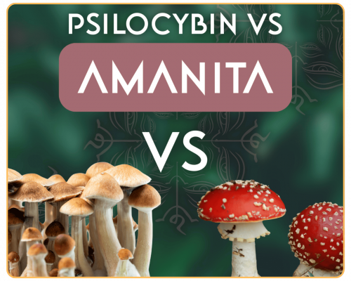 Untitled design - 2025-12-01T123801.505 (1)