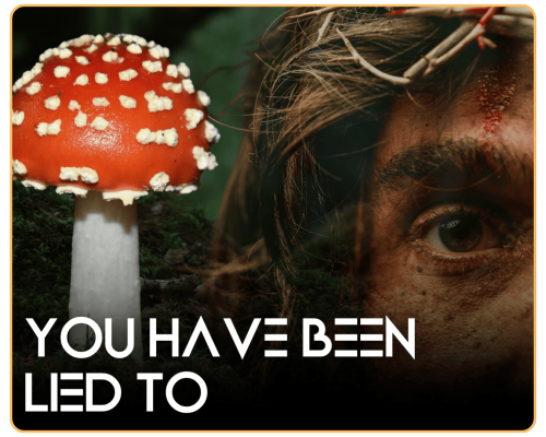 Untitled design - 2025-12-03T065919.357 (1)